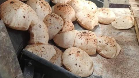 التموين تدرس طرح الخبز لغير حاملي البطاقات بسعر 125 قرشًا للرغيف | بورصة السلع والدواجن | المواطن المصري