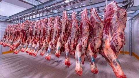 أسعار اللحوم في مصر اليوم الثلاثاء 26-12-2023 - موقع الموقع